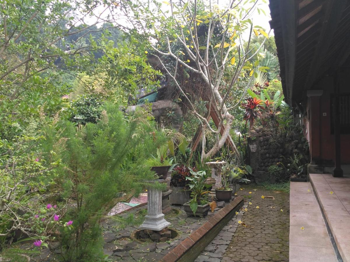 Dhangin Taman Karangasem Exteriér fotografie